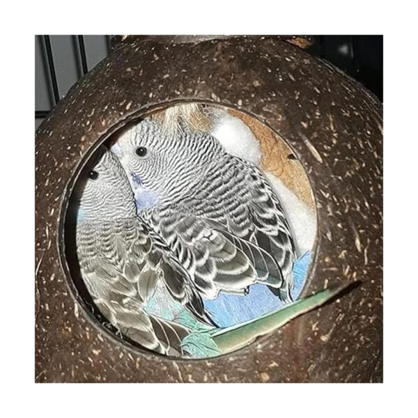 kathson Nido de pájaro de concha de coco natural casa