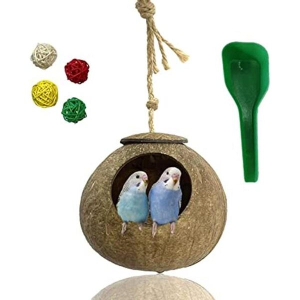 kathson Nido de pájaro de concha de coco natural casa