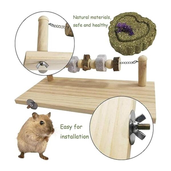 Kathson Hamster Madera Ledge Plataforma Masticar Juguetes