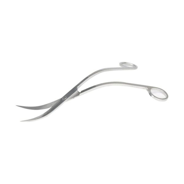 Tijeras de acuario de acero inoxidable con espejo de 9.8