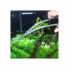 Tijeras de acuario de acero inoxidable con espejo de 9.8