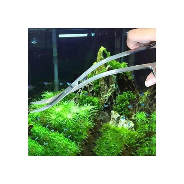 Tijeras de acuario de acero inoxidable con espejo de 9.8