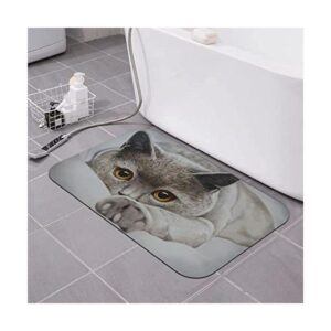 Tapete de baño para gatos tapete de tierra de diatomeas_1