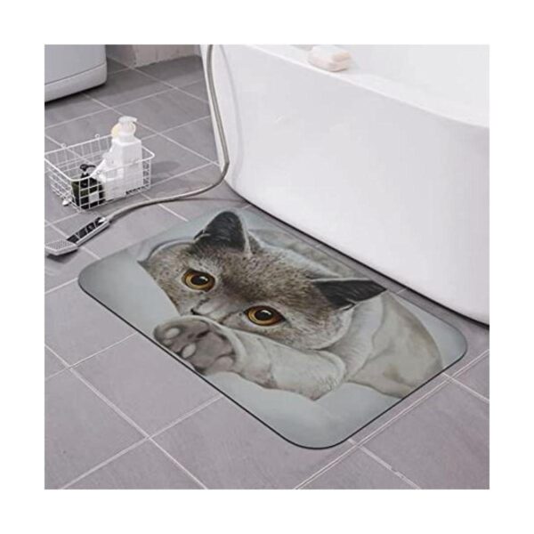 Tapete de baño para gatos tapete de tierra de diatomeas_1