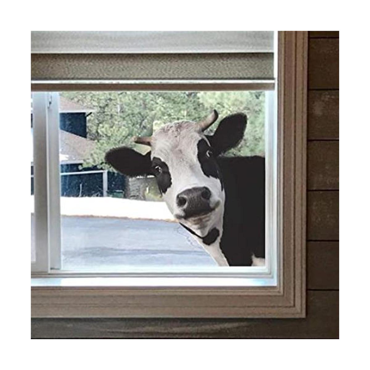 Bonito adhesivo para ventana de vaca ventana de