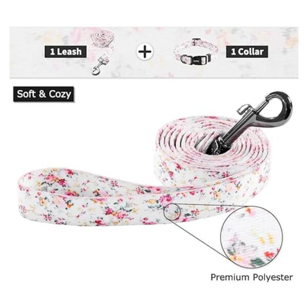 Ihoming Collar y correa para perro combinados en estilo