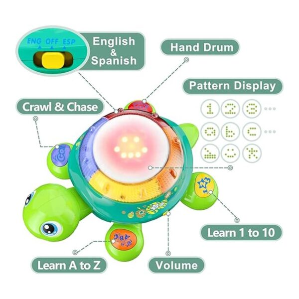 iPlay iLearn Juguete de tortuga musical para bebé_2