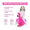 iPlay iLearn Bouncy Pals Bola de tolva de flamenco para_2