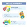 iPlay iLearn Juego de 10 juguetes de sonajeros para_3