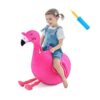 iPlay iLearn Bouncy Pals Bola de tolva de flamenco para_1
