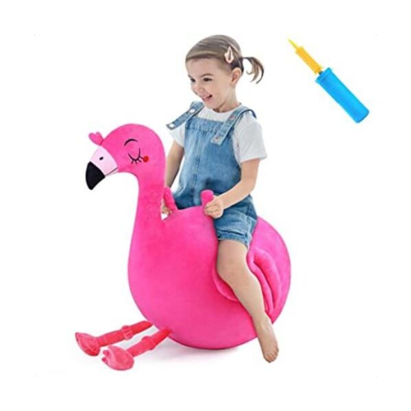 iPlay iLearn Bouncy Pals Bola de tolva de flamenco para_1