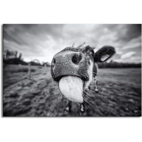 iKNOW FOTO Lienzo impreso para pared diseño de vacas de_1