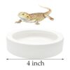 iHomeSet 2 cuencos de cerámica para alimentos de reptiles_3