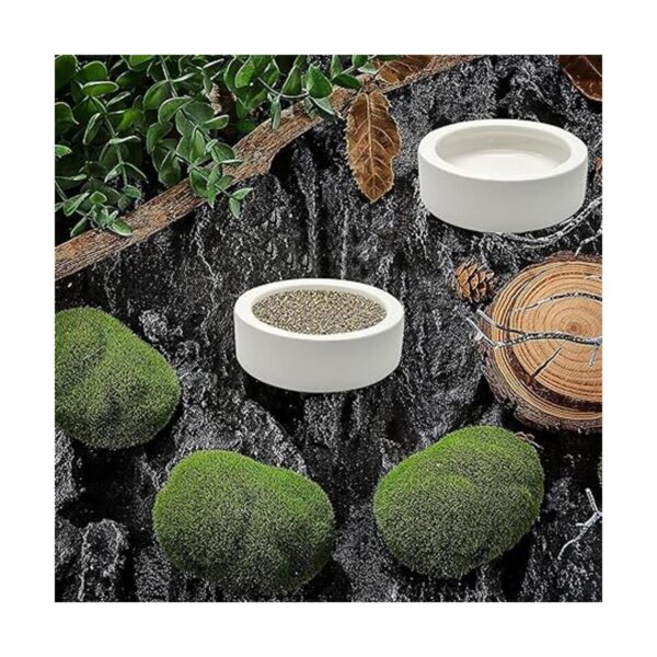 iHomeSet 2 cuencos de cerámica para alimentos de reptiles_6