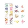 iFancer Flores secas para arte de uñas de resina 3D_6