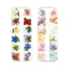 iFancer Flores secas para arte de uñas de resina 3D_1