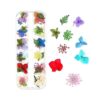 iFancer Flores secas para arte de uñas de resina 3D_5