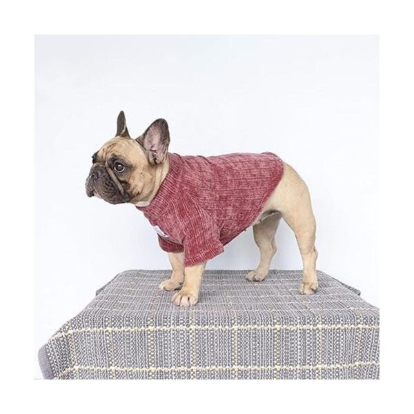 iChoue Suéter cálido de invierno para perros y mascotas_4