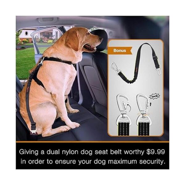 iBuddy Fundas de asiento de coche para perro para asiento