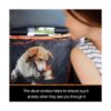 iBuddy Funda de asiento para perros con ventana de malla_2