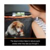 iBuddy Fundas de asiento de coche para perro para asiento