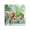 Juguetes de loros de pájaros 18 piezas accesorios para_2