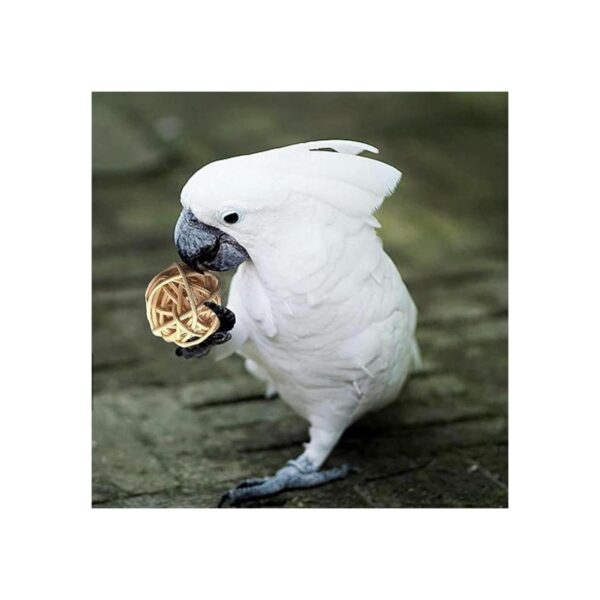 Juguetes de loros de pájaros 18 piezas accesorios para_5
