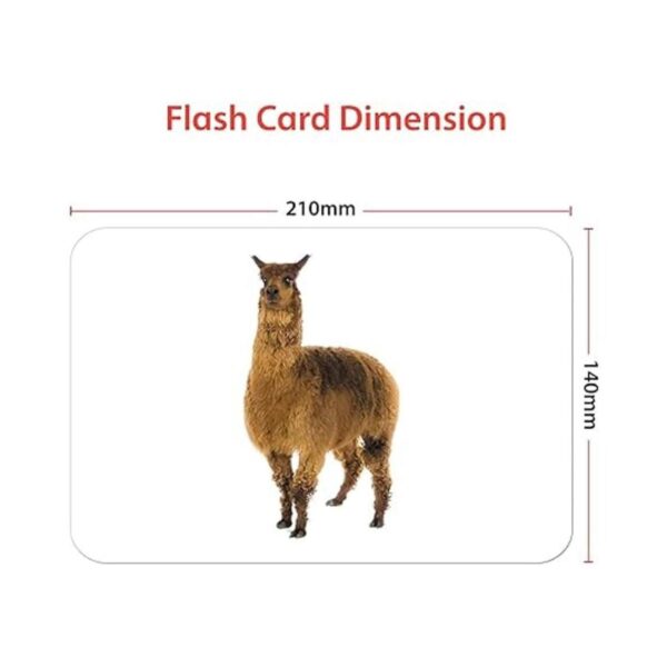hungry brain Tarjetas de aprendizaje temprano para niños_4