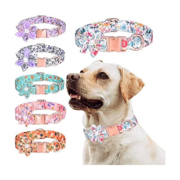 haoyueer Collar para perro collar de perro con diamantes