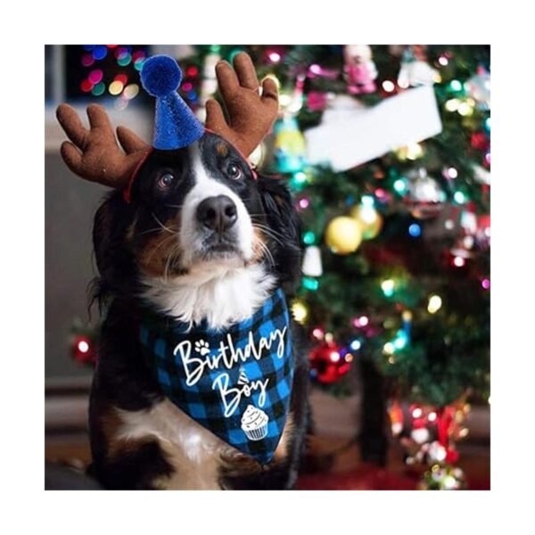 family Kitchen Bandana de perro clásico de tela escocesa_2