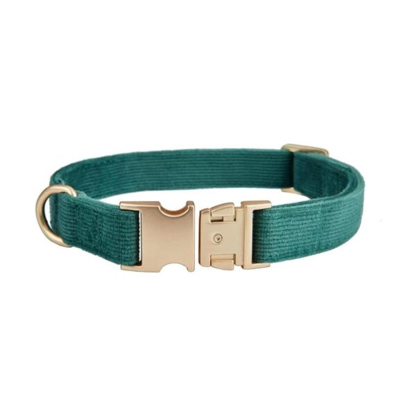 Ewinoom Collar suave para perro con hebilla de metal