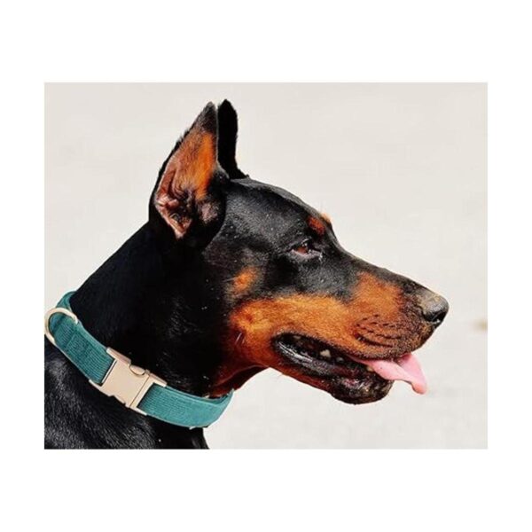 Ewinoom Collar suave para perro con hebilla de metal