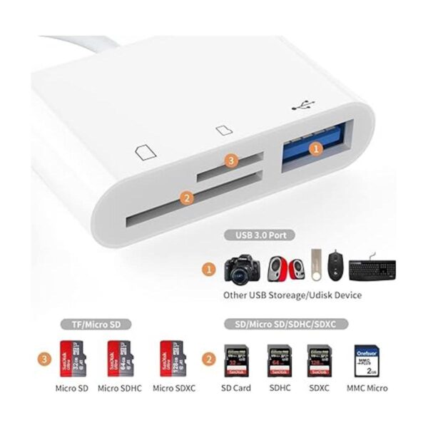 Lector de tarjetas USBC a SD lector de tarjetas micro SD