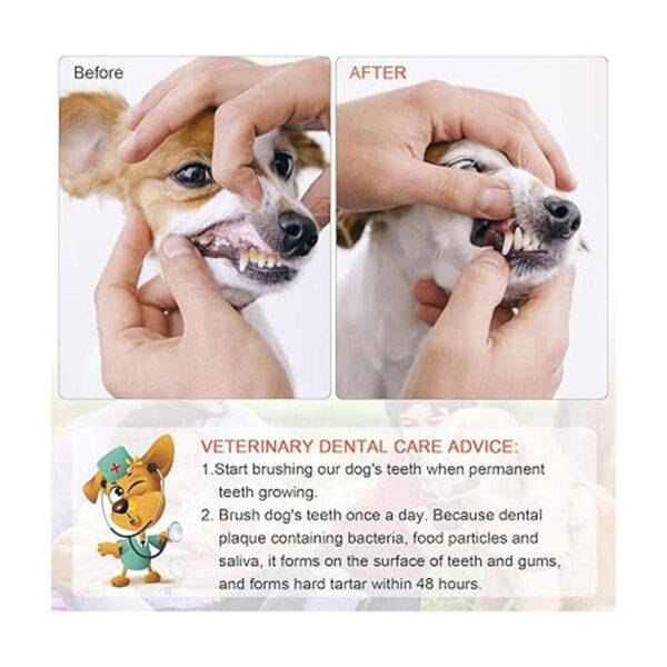 EASYA Cepillo de dientes de doble cabeza para perros_5