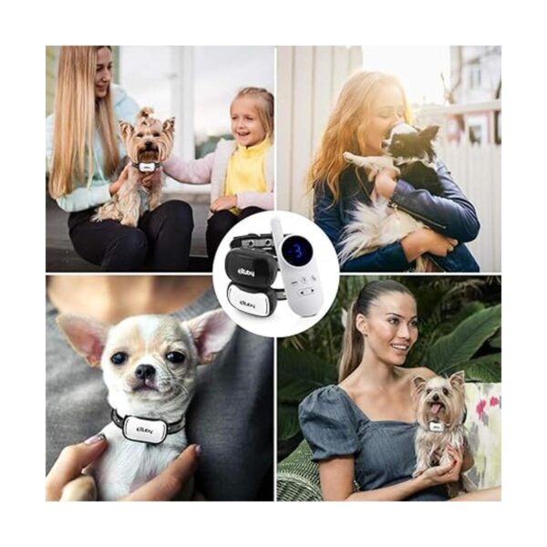 eXuby Pequeño collar de doble choque Collar más pequeño