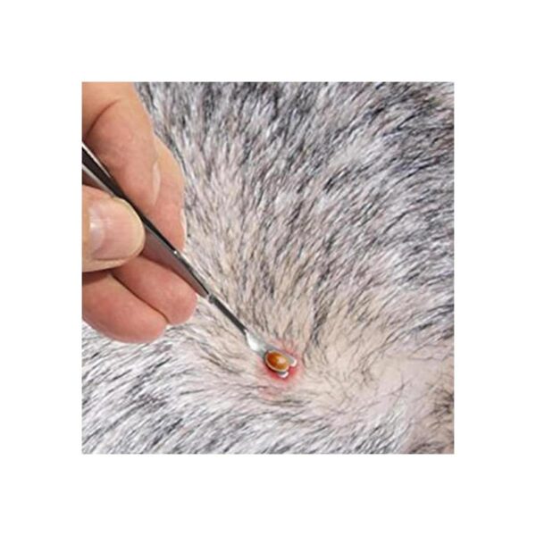 Herramienta para quitar garrapatas eTradewinds TickOff