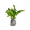 EBOOT Perlas de agua florales de gel para tierra cuentas