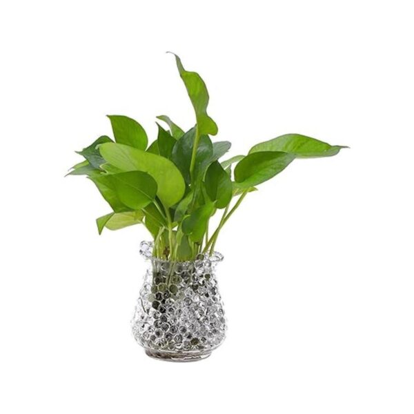 EBOOT Perlas de agua florales de gel para tierra cuentas