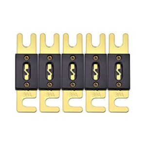 Bumbesti Fusible ANL de 30 A chapado en oro fusible ANL_1