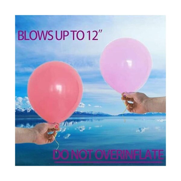 Zesliwy Pastel Colorful Latex Party Balloons120 Pack 12_4