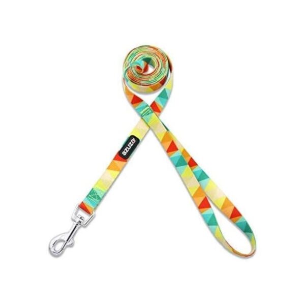 Azuza Juego de collar y correa para perro diseño de