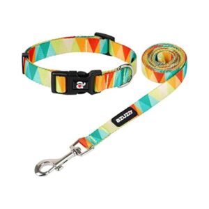 Azuza Juego de collar y correa para perro diseño de