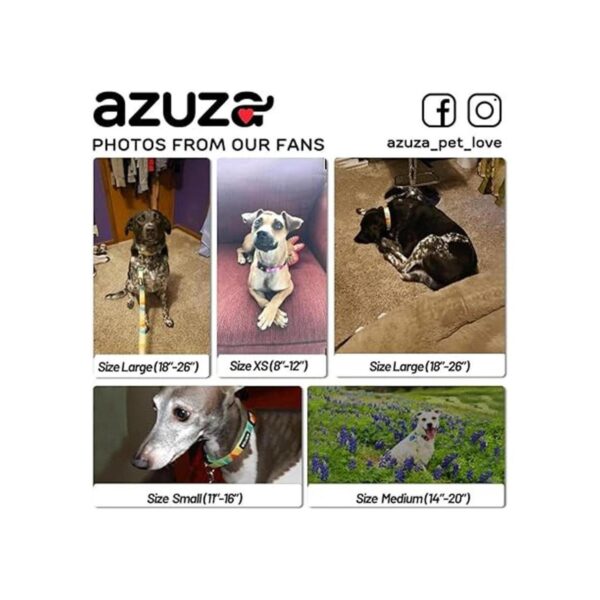 Azuza Juego de collar y correa para perro diseño de