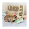 andwe Bolas de juego de animales pequeños juguetes para_6