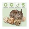 andwe Bolas de juego de animales pequeños juguetes para_4