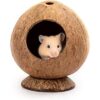 andwe Cama de casa de hámster de coco para jerbos_1