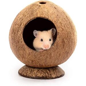 andwe Cama de casa de hámster de coco para jerbos_1