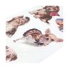 allydrew Washi Juego de calcomanías para álbumes de_4