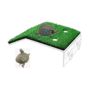 alfyng Plataforma de tortugas pequeña rampa de tortuga