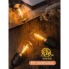 addlon Cadena de luces LED para exteriores de 24 pies con